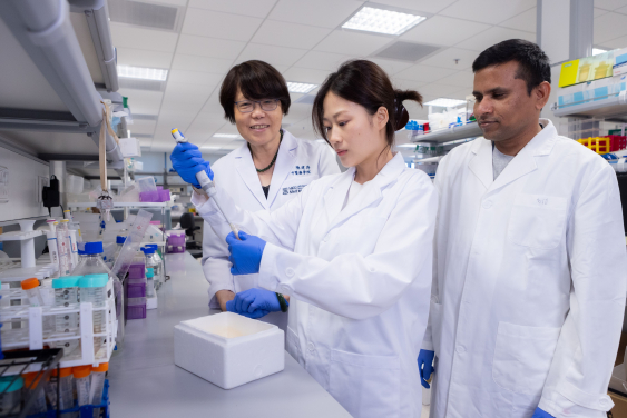 Dr Chen Jianping (left) provides scientific evidence for supporting the clinical application of the 'breast disease from liver dysfunction' TCM theory.
 